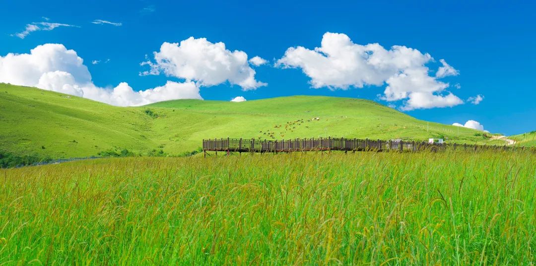  东山草原十大景观