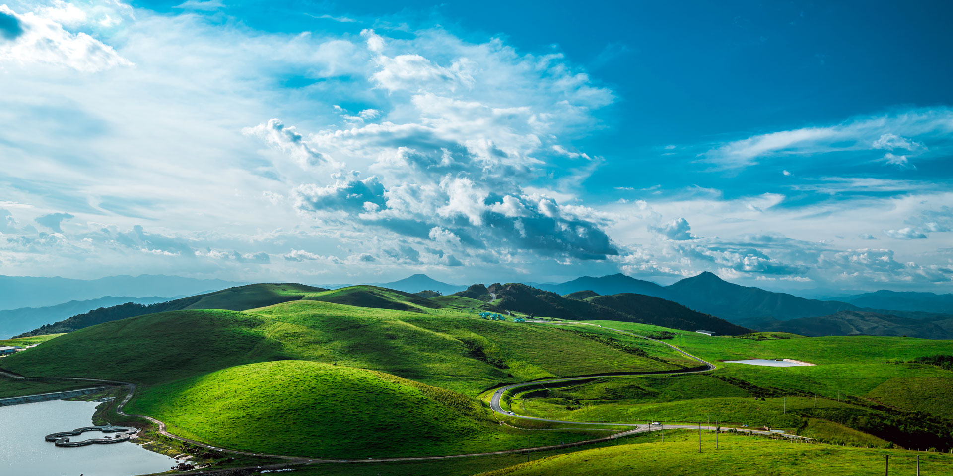 Alpine meadow