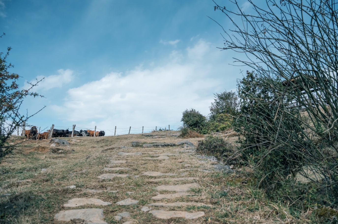 Yubi Ancient Road Site